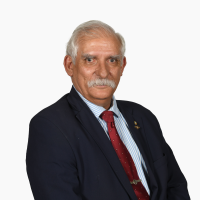 Foto Diputado
