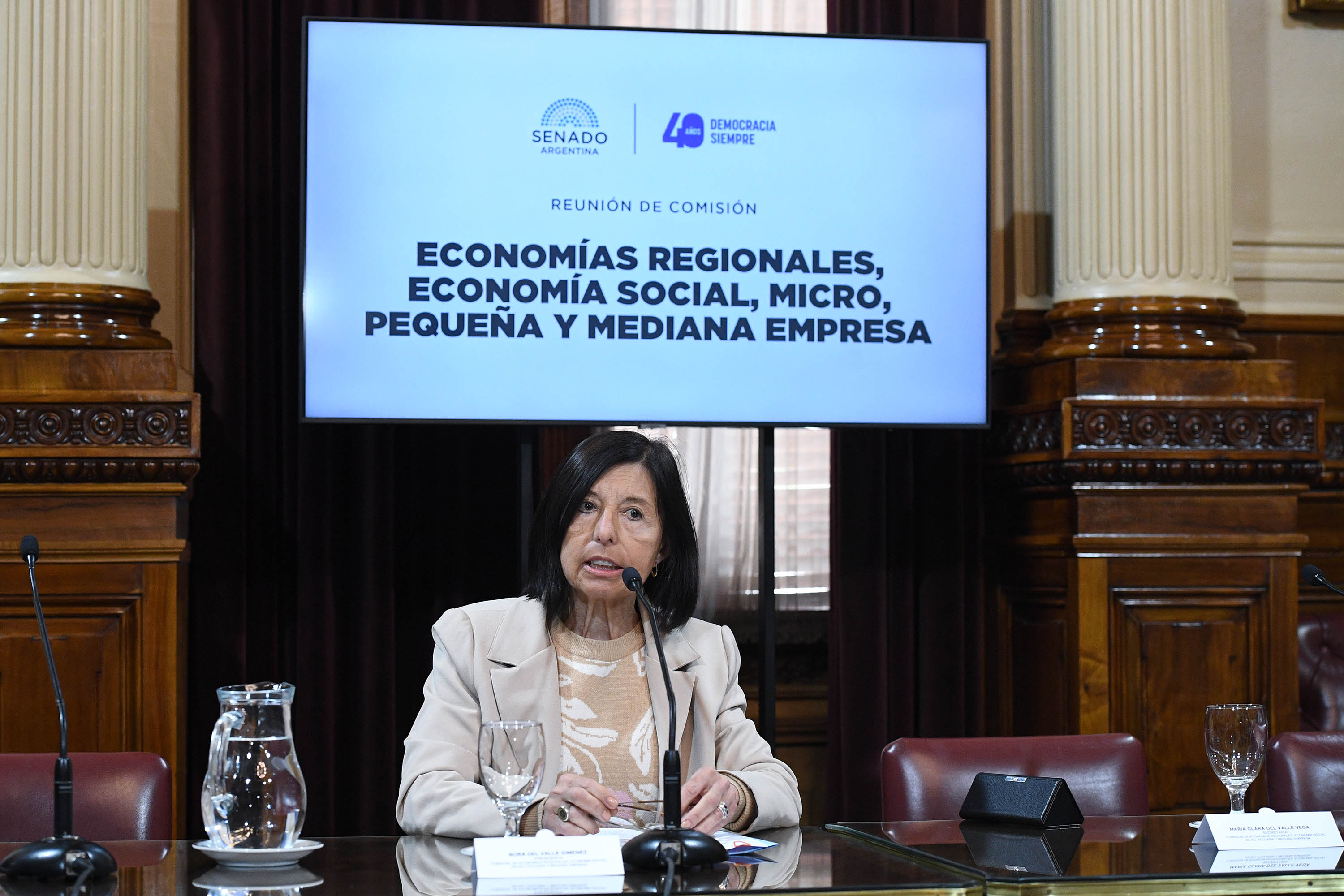Comisión de Economías Regionales, Economía Social,