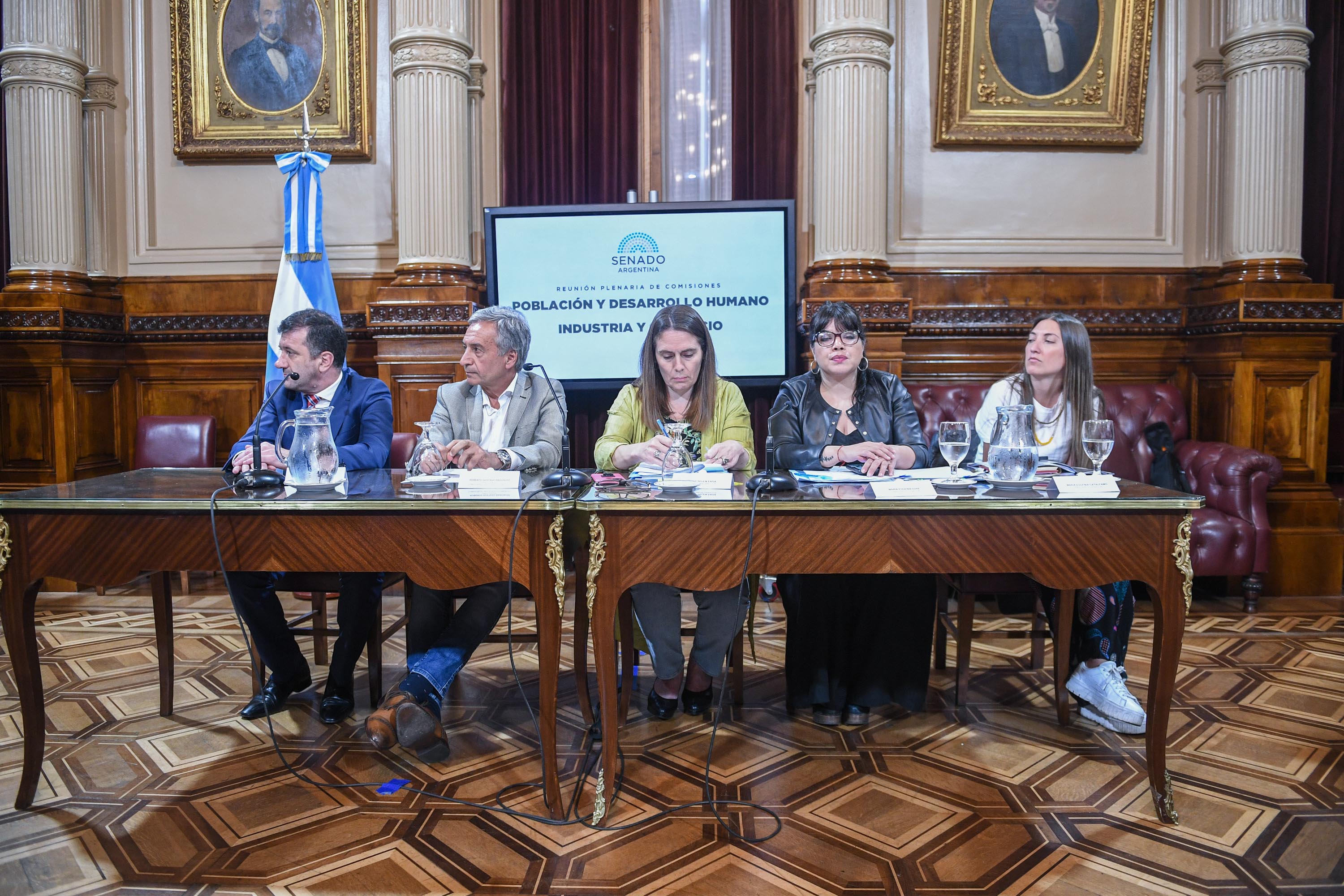 H.S.N. Evento. Foto: Delfina Linares - Comunicación Senado